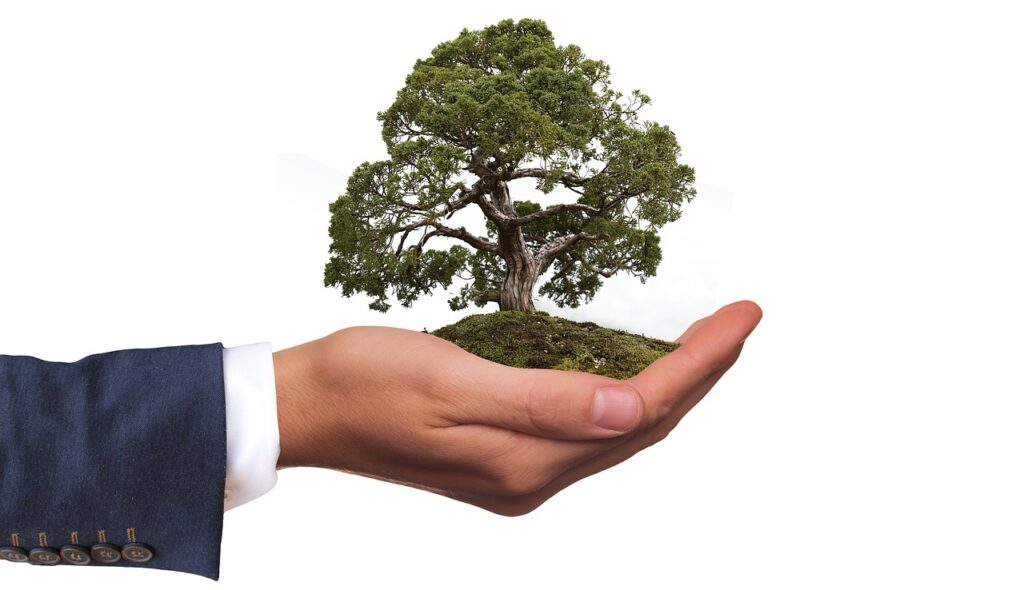 environment, tree, nature-2948299.jpg